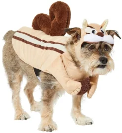 Frisco Chipmunk Dog & Cat Costume -FRISCO Sales 261044 PT2. SY630 V1625076758