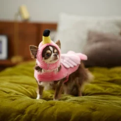 Frisco Flamingo Dog & Cat Costume -FRISCO Sales 261054 PT8. SY630 V1624335210