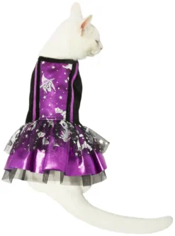 Frisco Midnight Witch Dog & Cat Costume