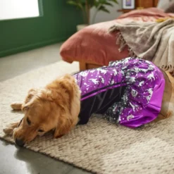 Frisco Midnight Witch Dog & Cat Costume -FRISCO Sales 261058 PT8. SY630 V1624400298