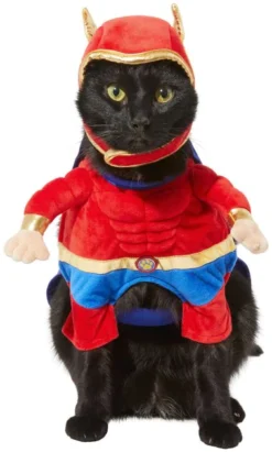 Frisco Front Walking Superhero Dog & Cat Costume