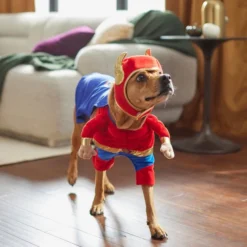 Frisco Front Walking Superhero Dog & Cat Costume -FRISCO Sales 261079 PT8. SY630 V1624398048