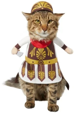 Frisco Front Walking Warrior Dog & Cat Costume
