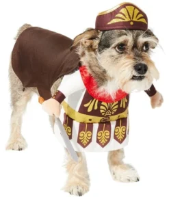 Frisco Front Walking Warrior Dog & Cat Costume 14 Frisco Front Walking Warrior Dog & Cat Costume -FRISCO Sales 261086 PT3. SY630 V1624401886