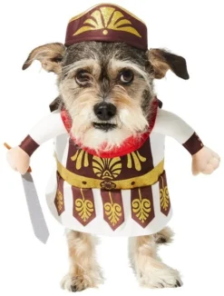 Frisco Front Walking Warrior Dog & Cat Costume 15 Frisco Front Walking Warrior Dog & Cat Costume -FRISCO Sales 261086 PT4. SY630 V1625077371