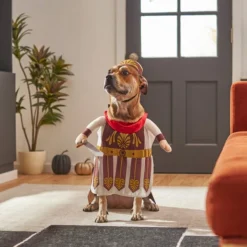 Frisco Front Walking Warrior Dog & Cat Costume 19 Frisco Front Walking Warrior Dog & Cat Costume -FRISCO Sales 261086 PT8. SY630 V1624402357