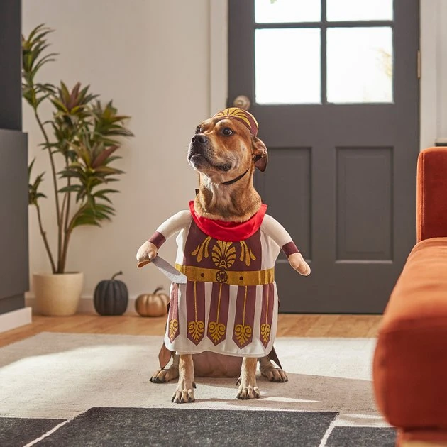 Frisco Front Walking Warrior Dog & Cat Costume 11 Frisco Front Walking Warrior Dog & Cat Costume - Image 9