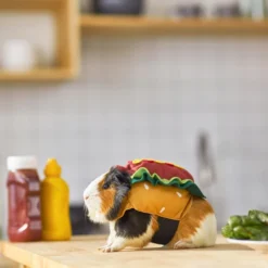 Frisco Hotdog Guinea Pig Costume, One Size -FRISCO Sales 261093 PT8. SY630 V1624454761