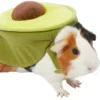 Frisco Avocado Guinea Pig Costume, One Size -FRISCO Sales 261095 MAIN. SY630 V1624414703