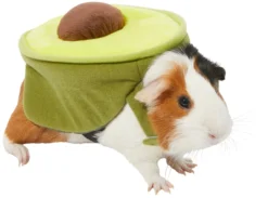 Frisco Avocado Guinea Pig Costume, One Size