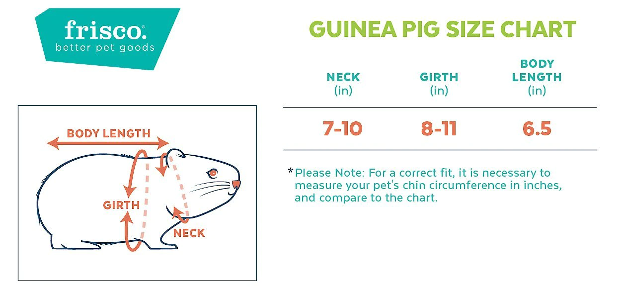 Frisco Avocado Guinea Pig Costume, One Size 4 Frisco Avocado Guinea Pig Costume, One Size - Image 2