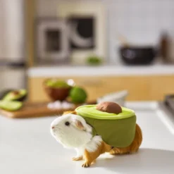 Frisco Avocado Guinea Pig Costume, One Size 11 Frisco Avocado Guinea Pig Costume, One Size -FRISCO Sales 261095 PT8. SY630 V1624454728