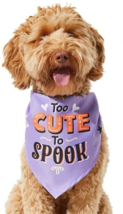 Frisco Too Cute to Spook Dog & Cat Bandana