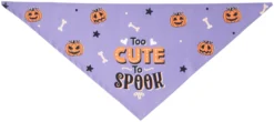 Frisco Too Cute to Spook Dog & Cat Bandana -FRISCO Sales 261098 PT5. SY630 V1624305202