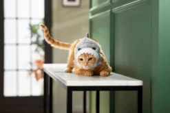 Frisco Shark Cat Costume, One Size -FRISCO Sales 261100 PT7. SY630 V1624307906