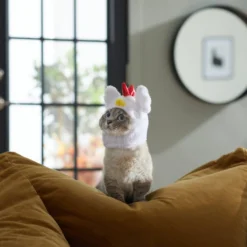 Frisco Chicken Cat Costume, One Size -FRISCO Sales 261102 PT8. SY630 V1624307866
