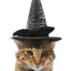 Frisco Cobweb Witch Dog & Cat Hat 2 Frisco Cobweb Witch Dog & Cat Hat -FRISCO Sales 261109 MAIN. SY630 V1625075886