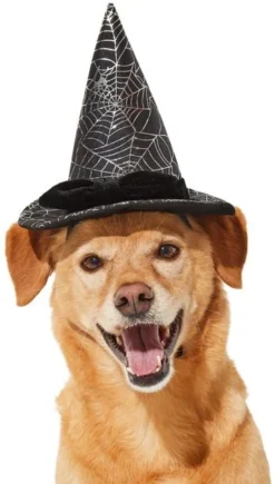 Frisco Cobweb Witch Dog & Cat Hat -FRISCO Sales 261109 PT2. SY630 V1625076831
