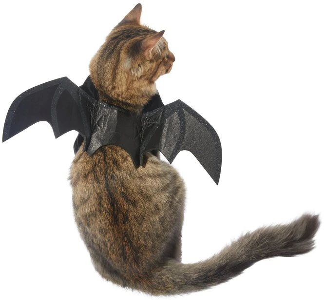 Frisco Bat Wings Dog & Cat Costume 3 Frisco Bat Wings Dog & Cat Costume