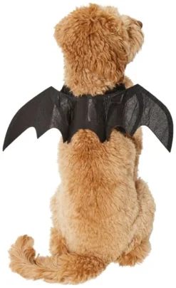 Frisco Bat Wings Dog & Cat Costume 10 Frisco Bat Wings Dog & Cat Costume -FRISCO Sales 261113 PT2. SY630 V1625077070