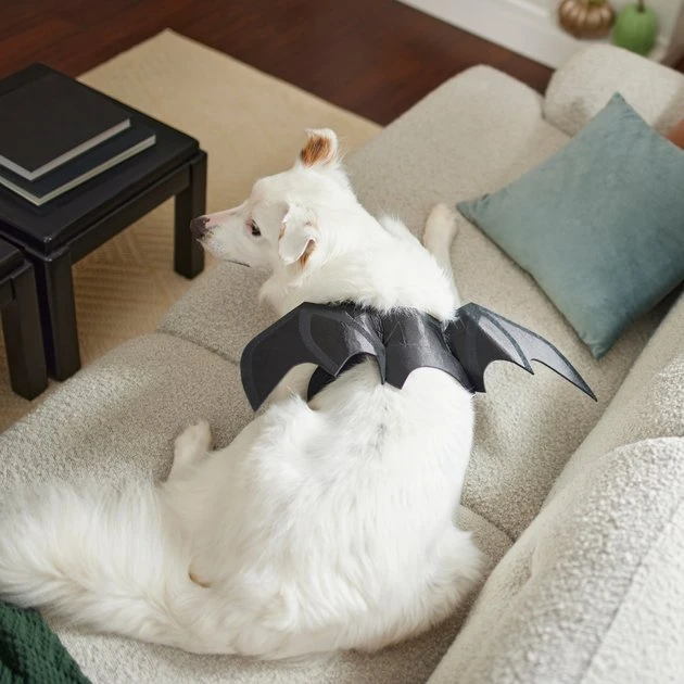 Frisco Bat Wings Dog & Cat Costume 8 Frisco Bat Wings Dog & Cat Costume - Image 6