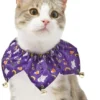 Frisco Spooky Halloween Cat Collar Ruffle, One Size 1 Frisco Spooky Halloween Cat Collar Ruffle, One Size -FRISCO Sales 261118 MAIN. SY630 V1624338513