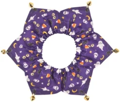 Frisco Spooky Halloween Cat Collar Ruffle, One Size -FRISCO Sales 261118 PT5. SY630 V1624339128