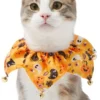 Frisco Whimsical Halloween Cat Collar Ruffle, One Size -FRISCO Sales 261120 MAIN. SY630 V1624304978