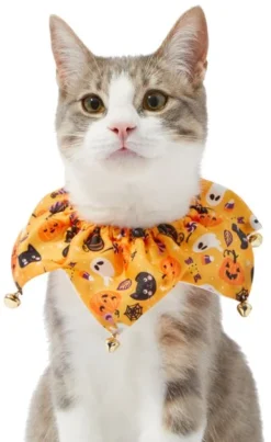 Frisco Whimsical Halloween Cat Collar Ruffle, One Size