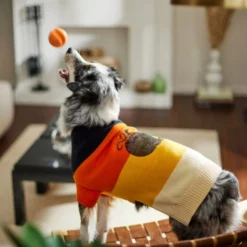 Frisco Colorblock Sequin Pumpkin Dog & Cat Sweater 13 Frisco Colorblock Sequin Pumpkin Dog & Cat Sweater -FRISCO Sales 261141 PT8. SY630 V1624461130