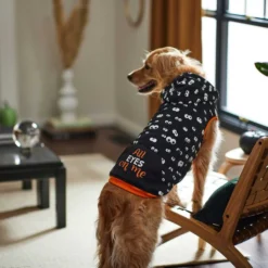 Frisco Glow in the Dark "All Eyes On Me" Dog & Cat Hoodie -FRISCO Sales 261155 PT6. SY630 V1633070502