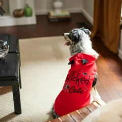 Frisco Wicked Cute Dog & Cat Hoodie -FRISCO Sales 261158 PT8. SY630 V1624398178