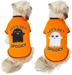 Frisco Sequin Let's Get Spooky Dog & Cat T-Shirt -FRISCO Sales 261179 PT2. SY630 V1637709123