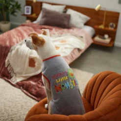 Frisco Mommy's Little Monster Dog & Cat T-Shirt -FRISCO Sales 261186 PT7. SY630 V1658443326