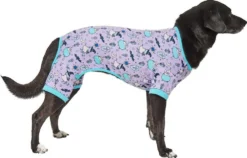 Frisco Witch Patterned Dog & Cat Jersey PJs -FRISCO Sales 261207 PT3. SY630 V1632417071
