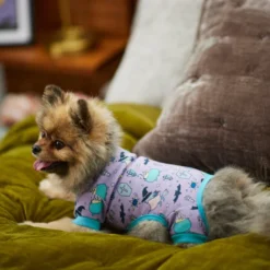 Frisco Witch Patterned Dog & Cat Jersey PJs -FRISCO Sales 261207 PT8. SY630 V1624305777