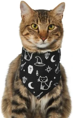 Frisco Glow in the Dark Mystical Print Dog & Cat Bandana -FRISCO Sales 261218 PT2. SY630 V1633086982