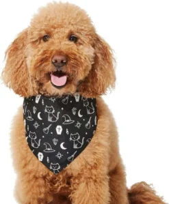 Frisco Glow in the Dark Mystical Print Dog & Cat Bandana -FRISCO Sales 261218 PT3. SY630 V1633068720