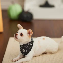 Frisco Glow in the Dark Mystical Print Dog & Cat Bandana -FRISCO Sales 261218 PT8. SY630 V1624336725