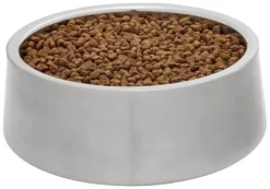 Frisco Insulated Non-Skid Flair Stainless Steel Dog & Cat Bowl, Stainless Steel 13 Frisco Insulated Non-Skid Flair Stainless Steel Dog & Cat Bowl, Stainless Steel -FRISCO Sales 261753 PT2. SY630 V1623937563