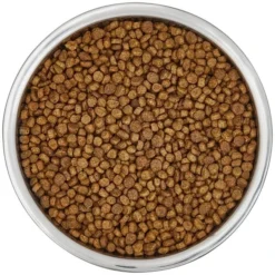 Frisco Insulated Non-Skid Flair Stainless Steel Dog & Cat Bowl, Stainless Steel 15 Frisco Insulated Non-Skid Flair Stainless Steel Dog & Cat Bowl, Stainless Steel -FRISCO Sales 261753 PT4. SY630 V1623937583