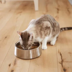 Frisco Insulated Non-Skid Stainless Steel Dog & Cat Bowl, Stainless Steel 18 Frisco Insulated Non-Skid Stainless Steel Dog & Cat Bowl, Stainless Steel -FRISCO Sales 261756 PT7. SY630 V1623937534