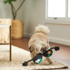 Frisco Road Trip Aviator Sunglasses Plush with Rope Squeaky Dog Toy 7 Frisco Road Trip Aviator Sunglasses Plush with Rope Squeaky Dog Toy -FRISCO Sales 261986 PT3. SY630 V1618598246