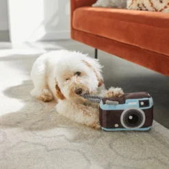 Frisco Road Trip Camera Plush with Rope Squeaky Dog Toy -FRISCO Sales 261988 PT3. SY630 V1618598705