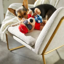 Frisco Road Trip Tourist Bear Plush Squeaky Dog Toy -FRISCO Sales 261995 PT3. SY630 V1618598730