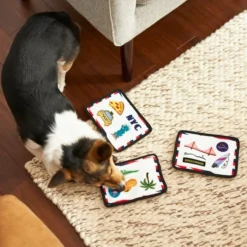 Frisco Road Trip Postcards Flat Plush Squeaky Dog Toy, 3 count -FRISCO Sales 262005 PT3. SY630 V1618598296