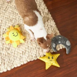 Frisco Road Trip Sun, Moon, & Star Plush Squeaky Dog Toy, 3 count -FRISCO Sales 262007 PT3. SY630 V1618598695