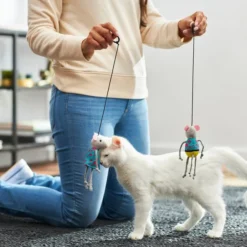 Frisco Road Trip Tourist Bouncy Mouse Cat Toy with Catnip, 2 count -FRISCO Sales 262018 PT3. SY630 V1618598618