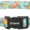Frisco Tropics Dog Collar -FRISCO Sales 264058 MAIN. SY630 V1616766110