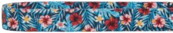 Frisco Hawaii Nights Dog Collar -FRISCO Sales 264067 PT2. SY630 V1616768871 scaled